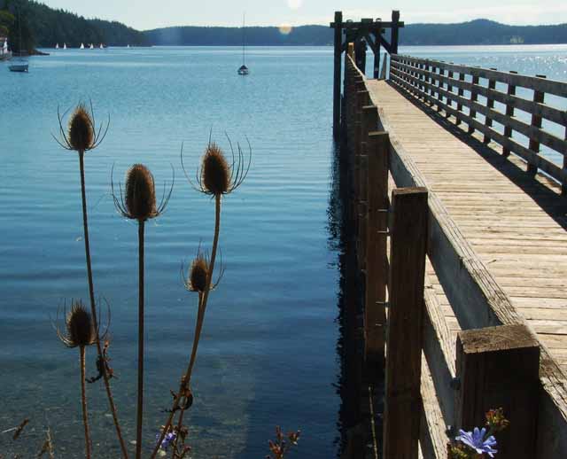 West Sound, Orcas